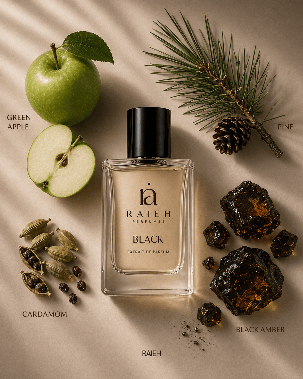 Black - Fresh • Spicy • Woody - RAIEHPERFUMES